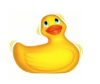 CANARD VIBRANT