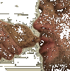 Prépuce quand tu me tiens
