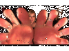 FeetInHiDef