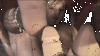 ItCouldBeYou