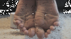 BrandNewFlipFlop