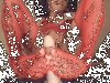 TheRoyalTraitment