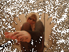 UreAFootLoser
