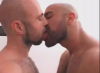 Lovers Bears : Du sexe, du muscle,des Poils