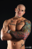 Harley Everett Tattoo Porn Star