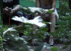 Voyeur 20 in the woods, no panties, only 4 Voyeurs (MrNo)