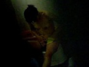 Voyeur Spycam Korean Amateur 10