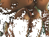 Quelques salopes qui prennent dans les fesses GIF