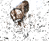 Puisque j'ai enlevé ma culotte léche ma chatte 01