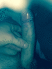 gay - 25 ans