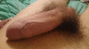 gay - 24 ans - 85