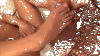 ::