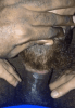 Gifs