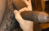 Zapping gif