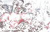 gif zapping