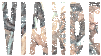 meat