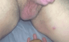 COCK &amp; BALLS PUNISHMENT