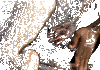 Gifs