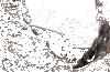 More gifs