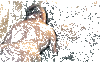 Gifs