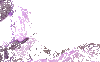 More gifs