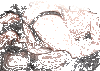 Gifs