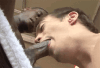 More gifs