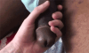 Gifs