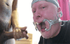 Gifs