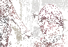 gif zapping