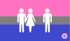 Drapeaux SEXPOL