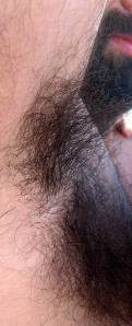 1--2--copie-1.jpg