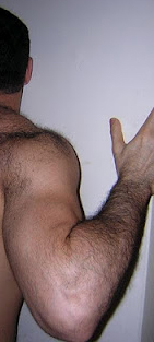 Hairyback.Wallhug