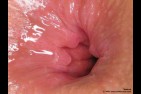 ZEX Best of Gape