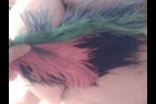 Photo010