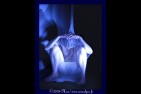 Mes-images---CAPTIVE_1509-coul1-lise-sign-copie.jpg