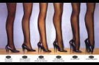 talons.jpg