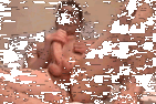 0047.gif
