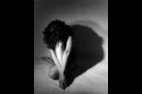 soumises-assises
