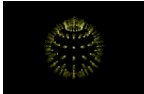 1567.gif