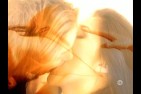 erotisme