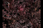 new13.gif
