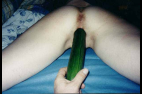 19.png