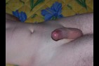bj03.jpg