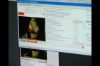 2008-08-19---emission-tv-28-Low.jpg