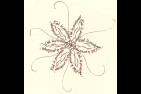 calligraphie2.jpg