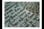 Calligraphies