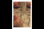Calligraphies