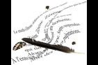 plume22.jpg