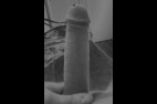 a96.jpg